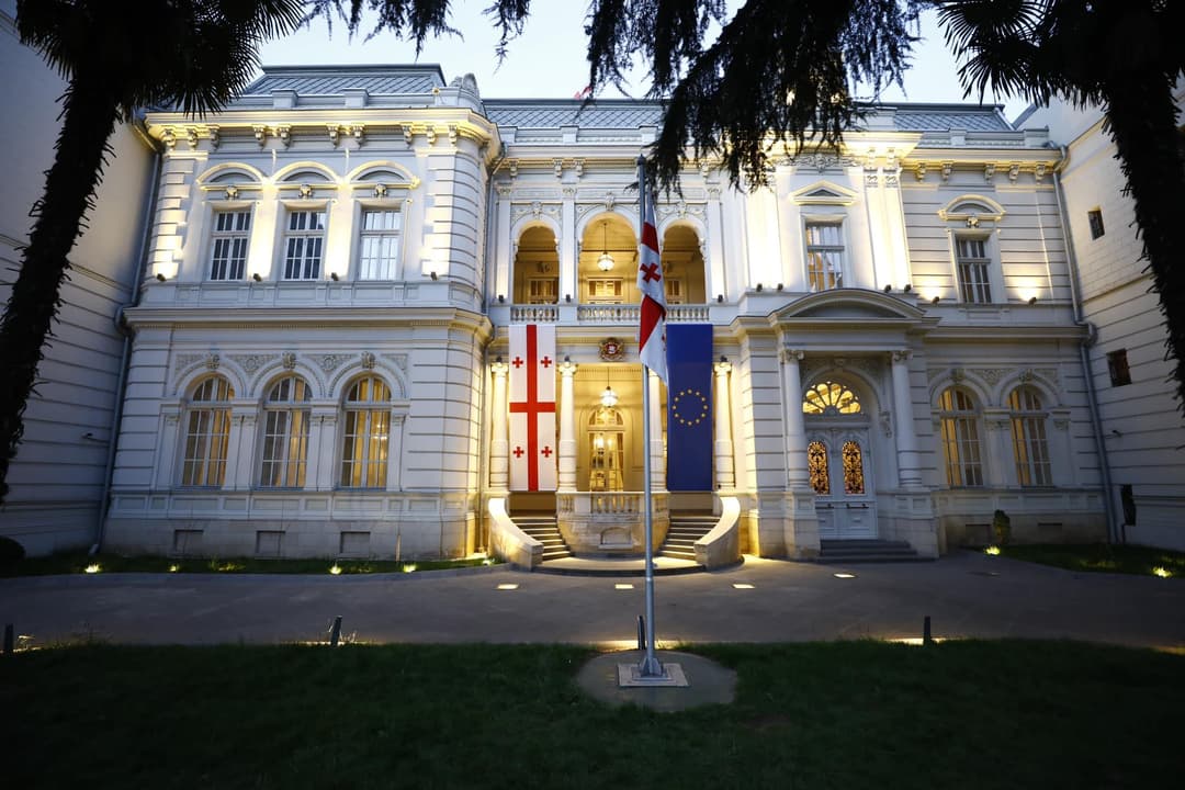 სალომე ზურაბიშვილი ოპოზიციონერ დეპუტატებსა და არასამთავრობო ორგანიზაციების წარმომადგენლებს შეხვდა