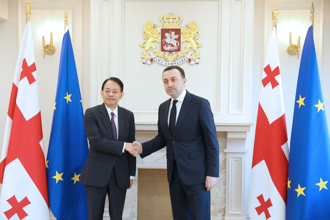 Georgia’s PM discusses economic collaboration with Asian Development Bank President