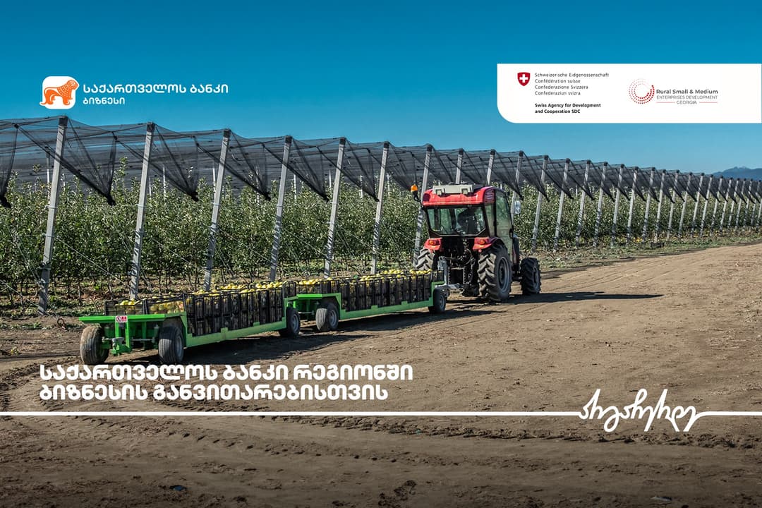 “საქართველოს ბანკი” და RSMED პროექტი რეგიონებში ბიზნესის განვითარების პროგრამას ახორციელებენ