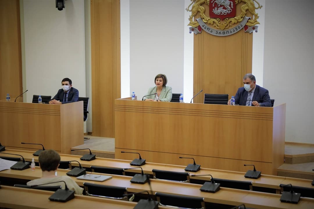 სტაციონარულ სამედიცინო დაწესებულებებში სოციალური მუშაობის თემასთან დაკავშირებით, პარლამენტში შეხვედრა გაიმართა
