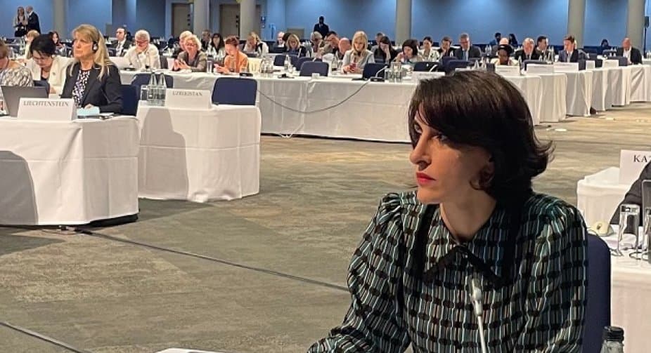 Ruling party MP initiates a section on Georgian occupied regions in OSCE resolution