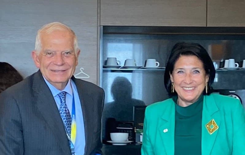 სალომე ზურაბიშვილი ჯოზეფ ბორელს შეხვდა