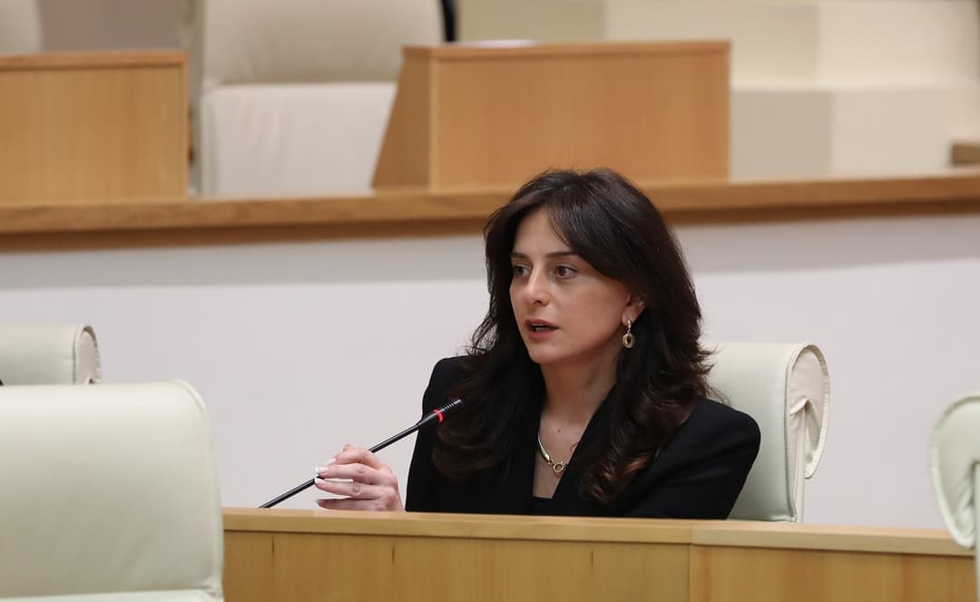 მაია ბითაძე – სამსახურში, ხელშეკრულების ვადა თუ გეწურებათ, მაგრამ მოგწონთ ხელფასი და ევროპებში სიარული, მოითხოვეთ ხელახალი არჩევნები, იქნებ დაგტოვონ ცოტა ხნით მაინც