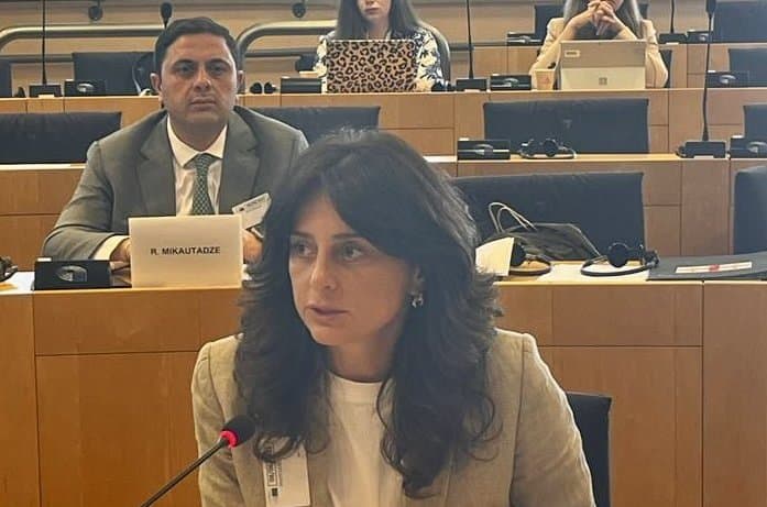 მაია ბითაძე – მშვიდობა, სტაბილურობა და ევროპული ინტეგრაცია არის ჩვენი ძირითადი მიზანი