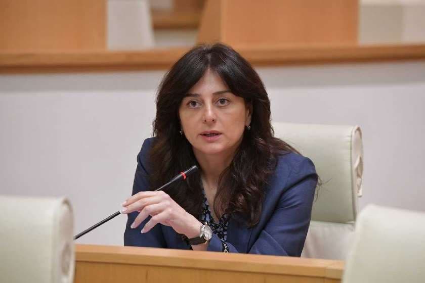 მაია ბითაძე – ზოგი განცხადება, რომელიც დღეს აქ მოვისმინეთ ჩვენი ოპოზიციონერი კოლეგებისგან, არა დეპოლარიზაციის, არამედ პოლარიზაციისკენ გადადგმული ნაბიჯია