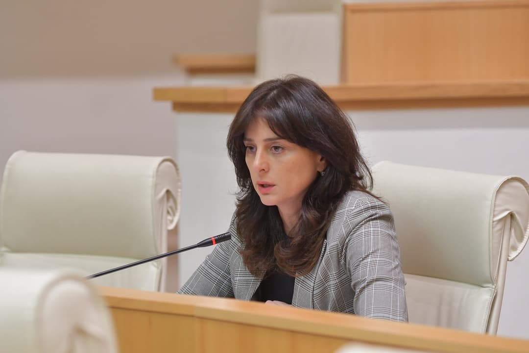 მაია ბითაძე – ერთმნიშვნელოვნად ვაცხადებ, რომ ევთანაზიის არანაირი ახალი რეგულაცია არ შემოგვაქვს