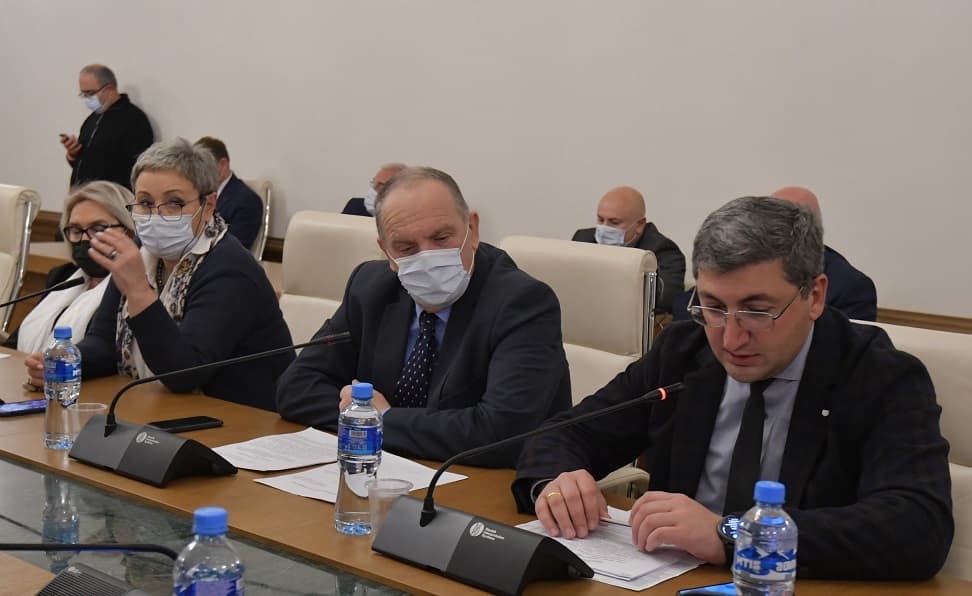 2021 წლის სახელმწიფო ბიუჯეტში შესატან ცვლილებებს დეპუტატებმა კომიტეტების გაერთიანებულ სხდომაზე მხარი დაუჭირეს