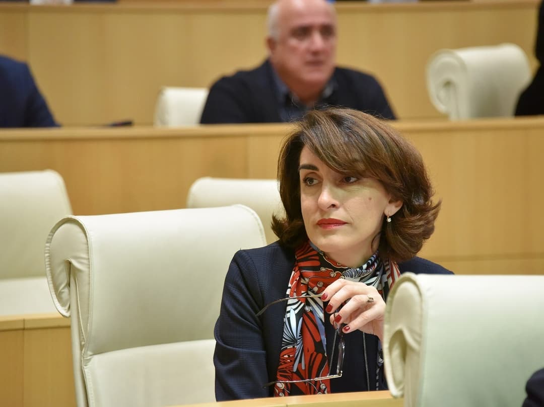 მაკა ბოჭორიშვილი – წელიწადზე მეტია, ვხედავთ ოპოზიციის და ე.წ. სამოქალაქო აქტივისტების მხრიდან საქართველოს ევროპული მომავლის წინააღმდეგ მიმართულ დაუღალავ კამპანიას