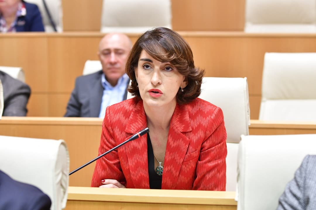 Ruling party senior MP slams EP resolution, points to “deliberate damaging campaign”