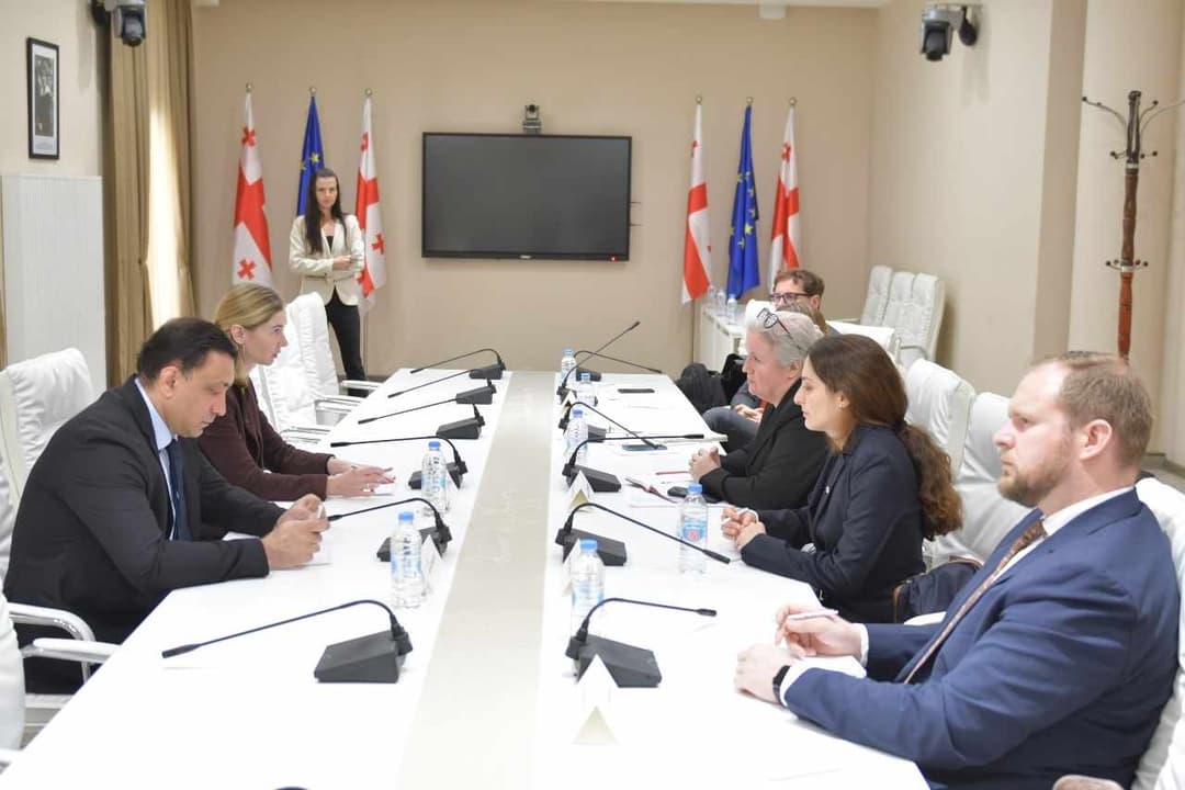 თინა ბოკუჩავა – დარწმუნებული ვარ, ეუთო/ოდირი საქართველოში უპრეცედენტოდ დიდ მისიას გამოაგზავნის