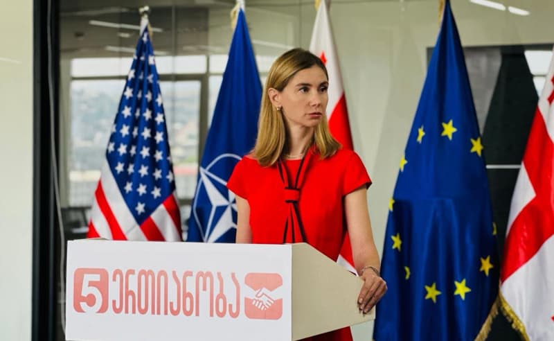 Opposition leader: Georgia’s only obstacle to EU integration is Ivanishvili’s Russian-aligned government