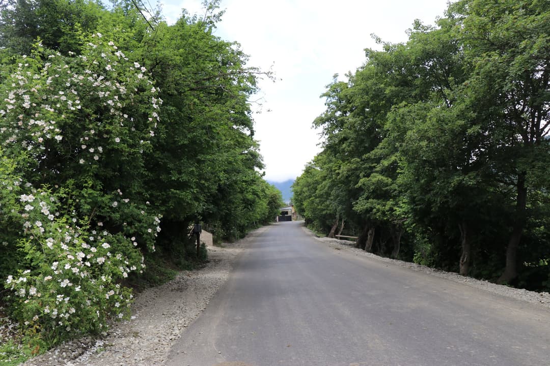 ბორჯომის პარკი-სადგერის მონაკვეთის რეაბილიტაცია მიმდინარეობს