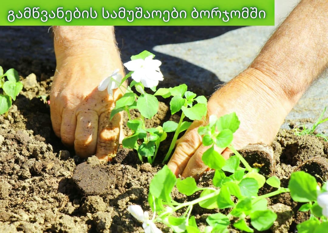 ბორჯომში არსებულ რეკრეაციულ ზონებში გამწვანების სამუშაოები მიმდინარეობს