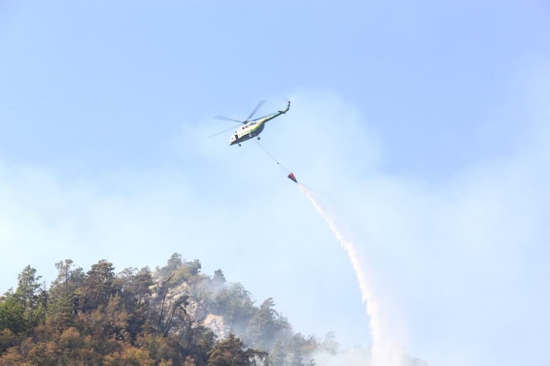 ბორჯომის მუნიციპალიტეტში ხანძრის ქრობის სამუშაოებში თურქეთის სპეციალიზებული სახანძრო თვითმფრინავები ერთვებიან