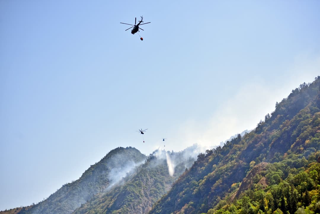 ბორჯომის ხეობაში გაჩენილი ხანძრის სალოკალიზაციო-სალიკვიდაციო სამუშაოები გრძელდება