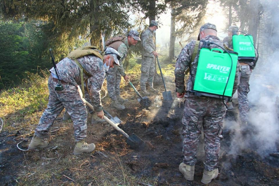 ბორჯომში დასახლებულ პუნქტებზე ხანძრის გავრცელების საშიშროება მოხსნილია