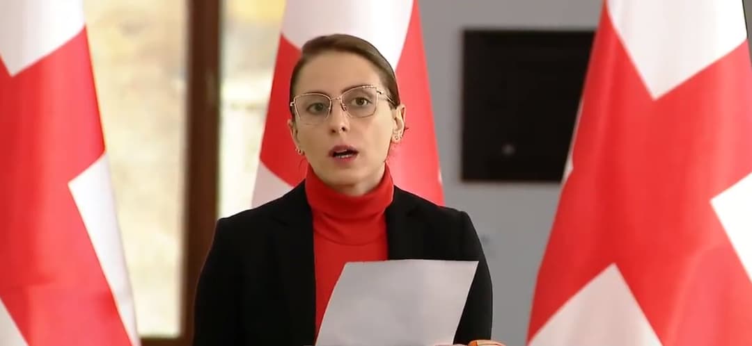 Ruling party “lies” over PACE resolution – opposition MP