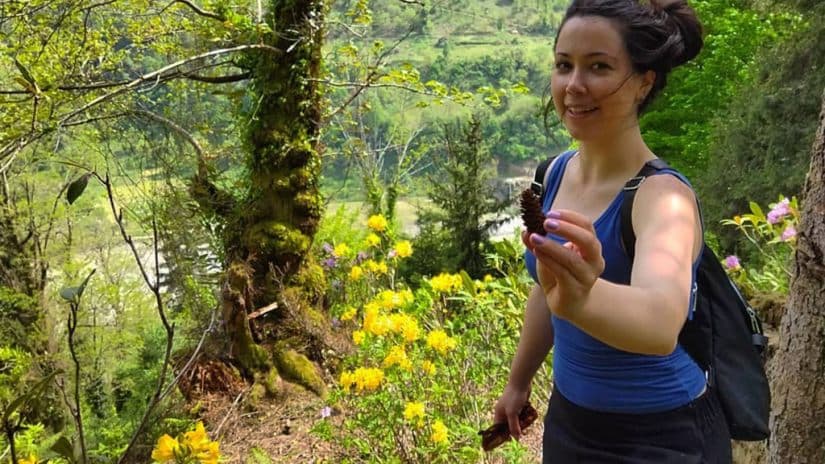 Frontnews image description