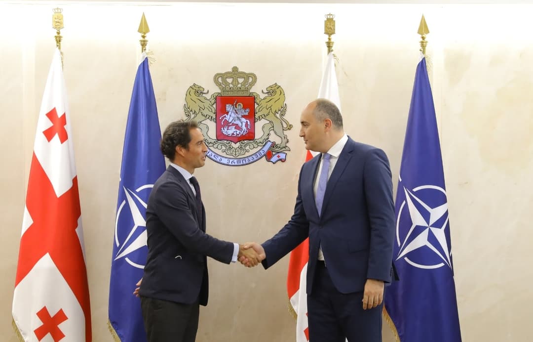 საქართველოს თავდაცვის მინისტრი ნატოს გენერალური მდივნის სპეციალურ წარმომადგენელს შეხვდა