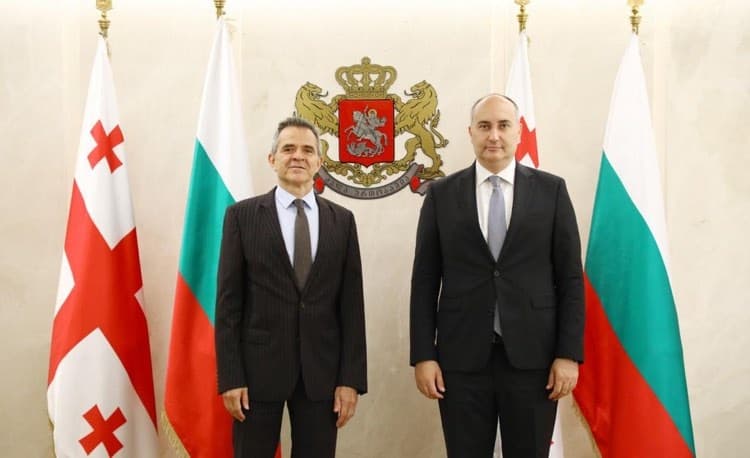 საქართველოს თავდაცვის მინისტრი ბულგარეთის რესპუბლიკის ახალდანიშნულ ელჩს შეხვდა