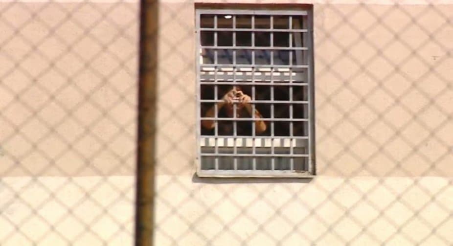 Ex-president Saakashvili addresses supporters from prison window