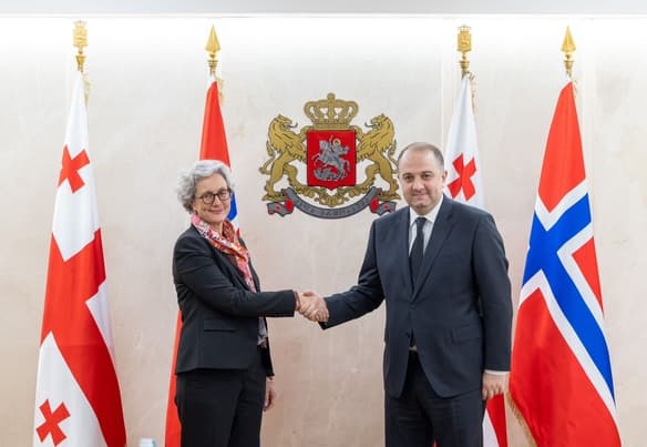 ირაკლი ჩიქოვანი ნორვეგიის ელჩს შეხვდა