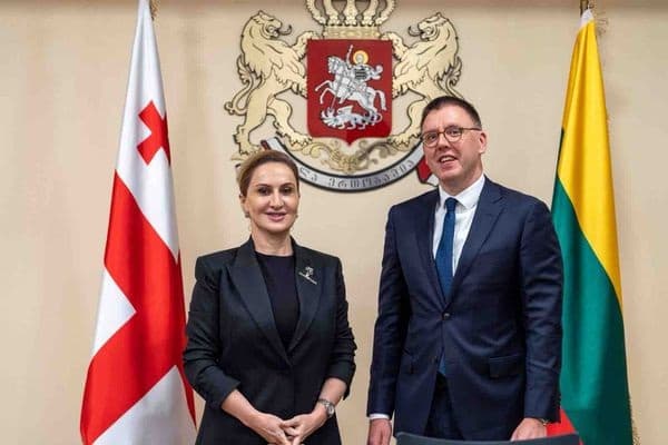 საქართველოს თავდაცვის სამინისტროს ლიეტუვის რესპუბლიკის ეროვნული თავდაცვის მინისტრის მოადგილე ესტუმრა