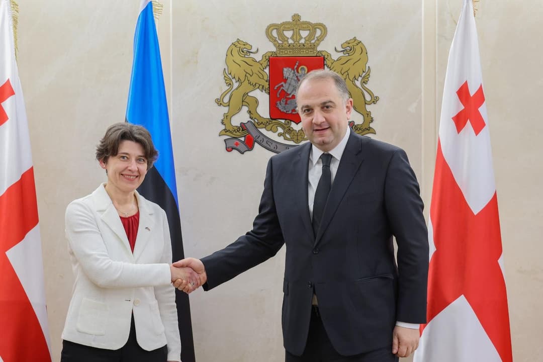 ირაკლი ჩიქოვანი ესტონეთის ელჩს შეხვდა