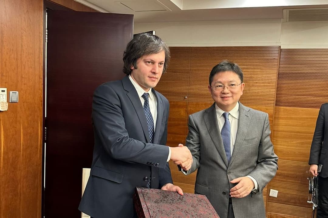 Georgian ruling party delegation discusses ties, cooperation, in meetings with Chinese officials