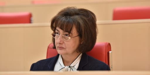 ნატო ჩხეიძე – ოპოზიციის მუშაობა ამ პარლამეტში შესაძლებელია მხოლოდ საგამოძიებო კომისიების სახით