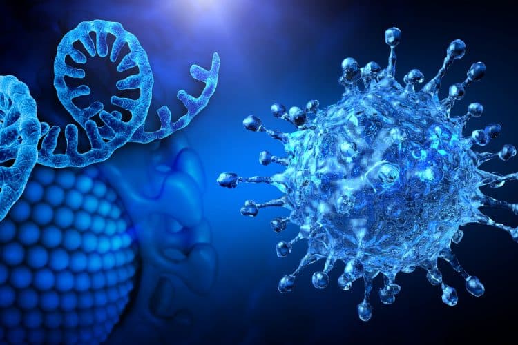 Georgia records 17,530 new cases of Covid, active cases stand at 100,013