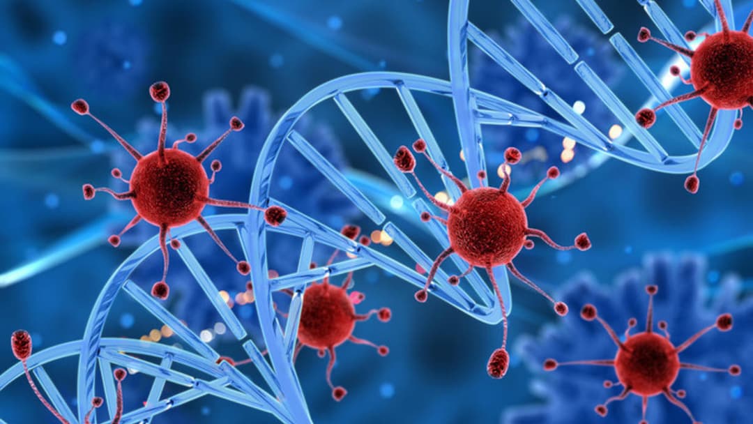 საქართველოში კორონავირუსის 153 ახალი შემთხვევა გამოვლინდა, არავინ გარდაცვლილა