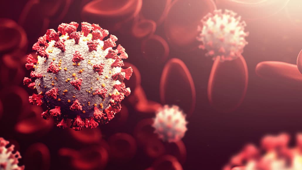 საქართველოში კორონავირუსის 2 479 ახალი დადასტურებული შემთხვევა გამოვლინდა