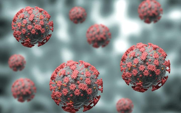 24 საათში საქართველოში კორონავირუსით 53 ადამიანი გარდაიცვალა