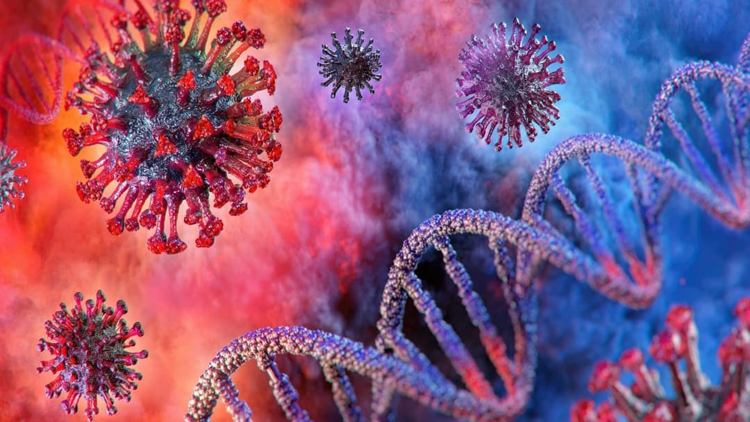 კორონავირუსის 4 775 ახალი შემთხვევიდან 1 359 თბილისში გამოვლინდა, 1 060 – იმერეთში