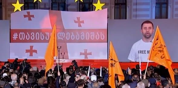 დავით არახამია – მოვითხოვ მის დაუყოვნებლივ გათავისუფლებას, მიხეილ, უკრაინა შენს გვერდით არის