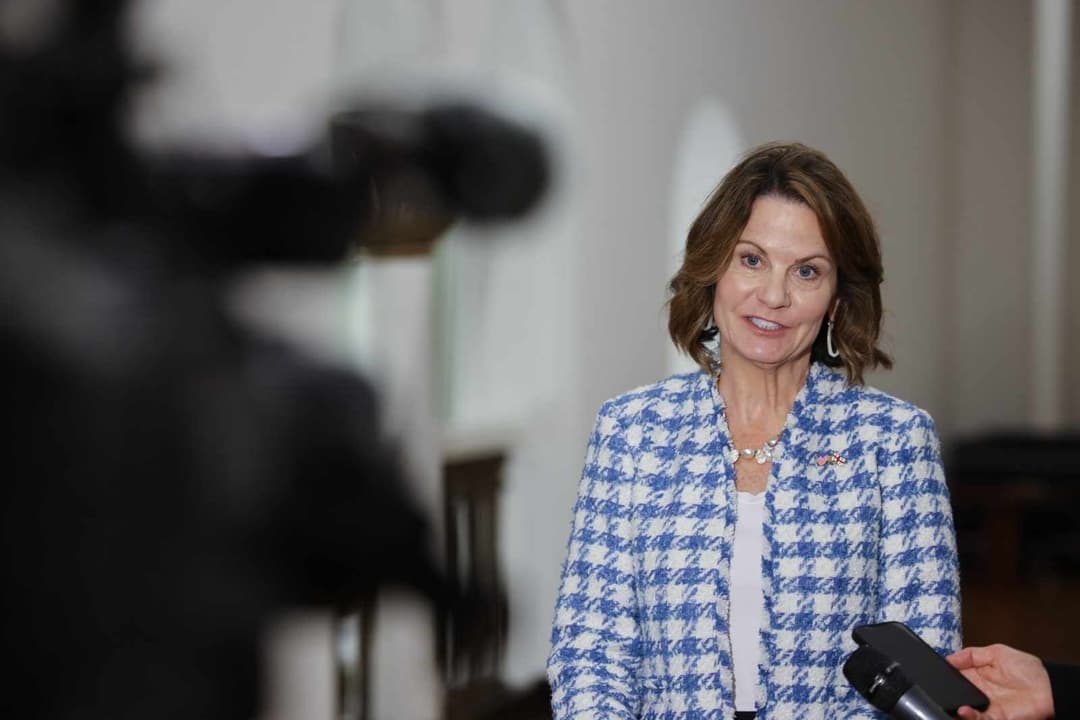 US Ambassador to Georgia addresses “misinformation” on alleged Global War Party