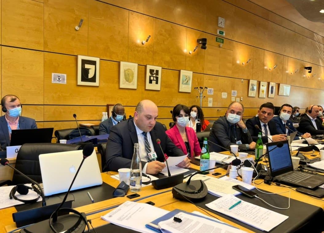ალექსანდრე დარახველიძემ გაეროს ადამიანის უფლებათა კომიტეტის მიერ საქართველოს მე-5 პერიოდული ანგარიშის განხილვაში მიიღო მონაწილეობა
