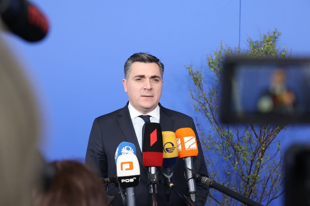 ილია დარჩიაშვილი – ჩვენ ხშირად გვესმის ხოლმე ჩვენი უკრაინელი პარტნიორებისგან გაუგებარი შეფასებები