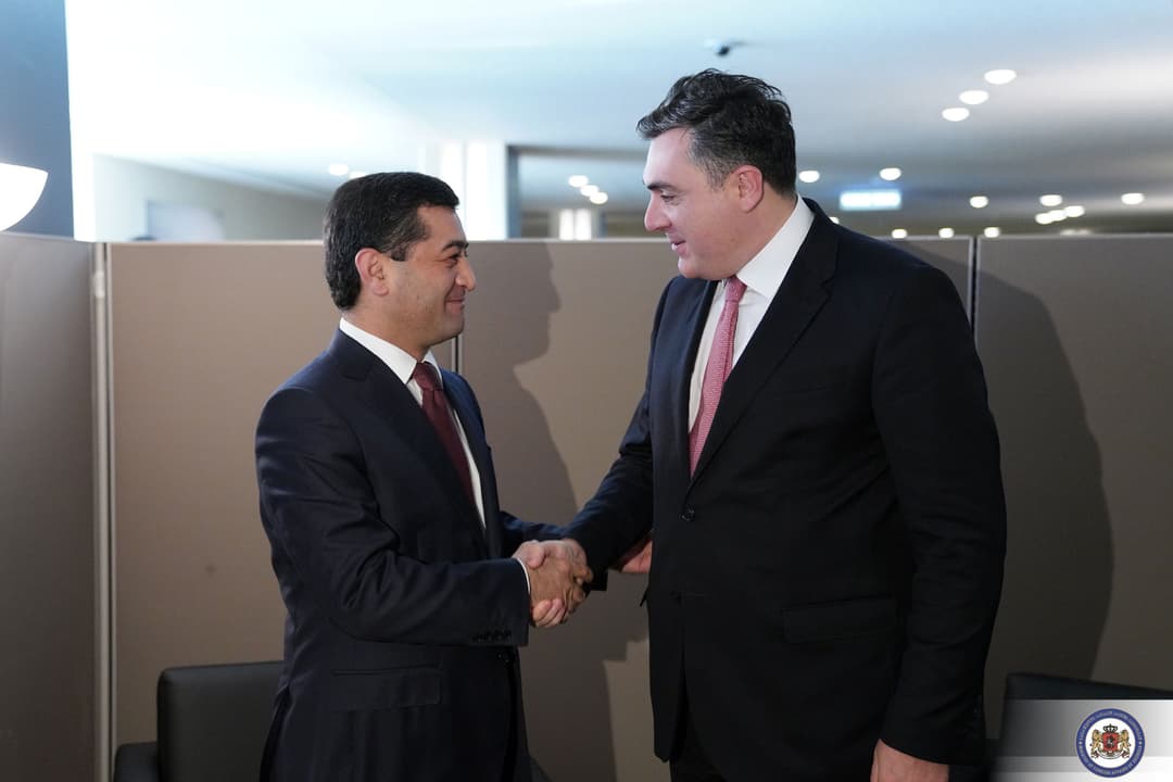 ილია დარჩიაშვილი უზბეკ კოლეგას შეხვდა