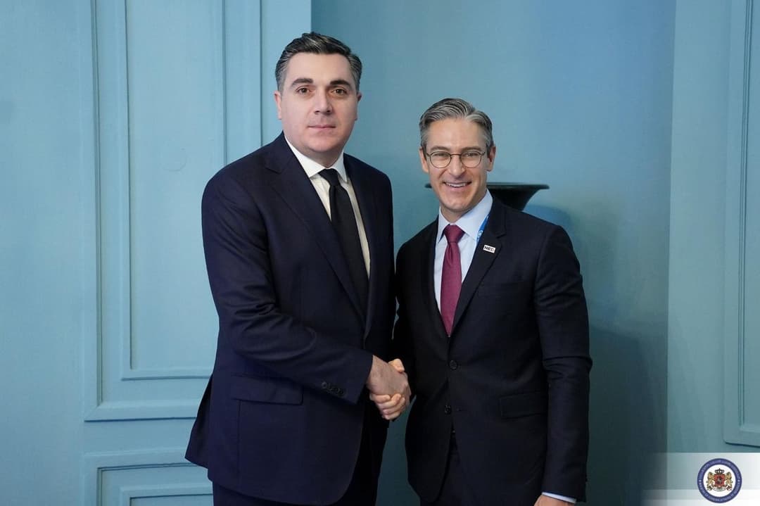 ილია დარჩიაშვილი დემოკრატიის ეროვნული ფონდის დირექტორს შეხვდა