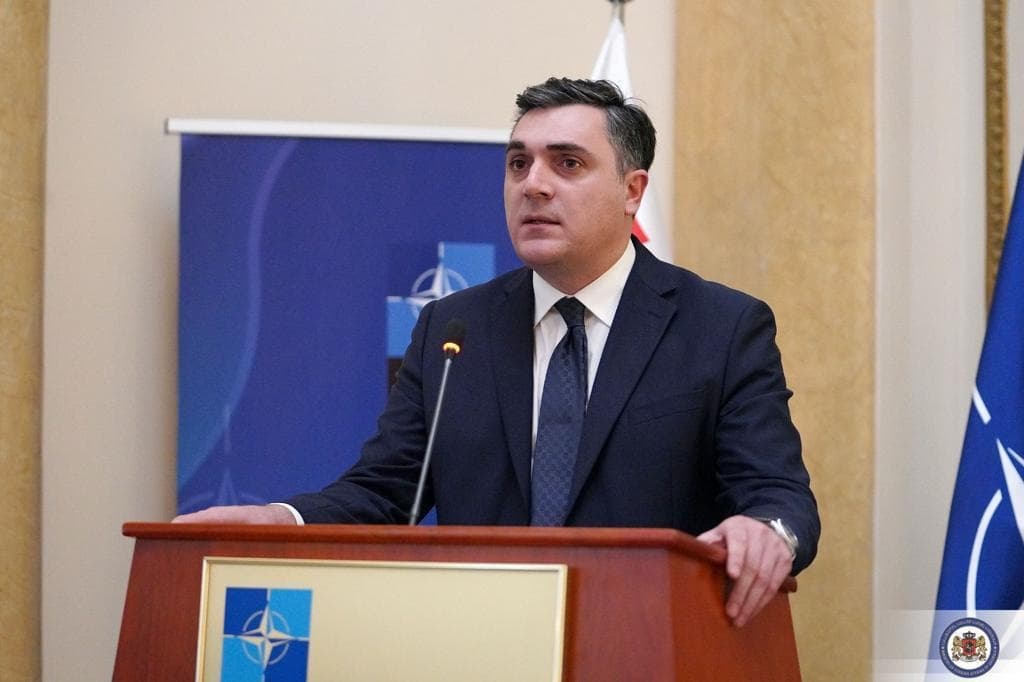ილია დარჩიაშვილი – ქართველებისთვის ევროატლანტიკური ინტეგრაცია უფრო მეტია, ვიდრე უბრალოდ მიზანი