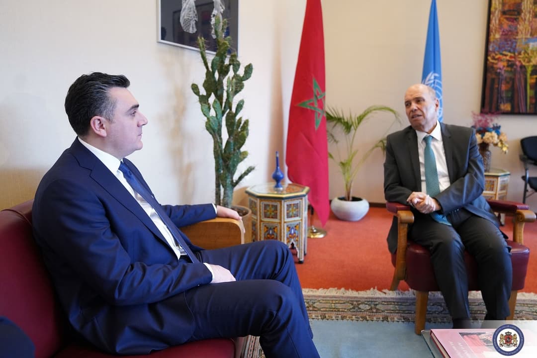 ილია დარჩიაშვილი გაეროს ადამიანის უფლებათა საბჭოს პრეზიდენტს შეხვდა