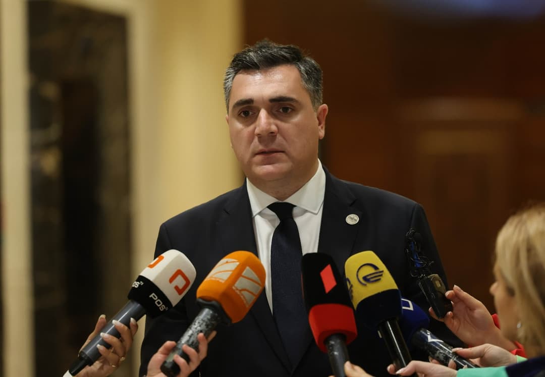 ილია დარჩიაშვილი – ძალიან მნიშვნელოვანია, რომ პრემიერ-მინისტრი თურქეთის პრეზიდენტის ინაუგურაციის ღონისძიებაში მონაწილეობს