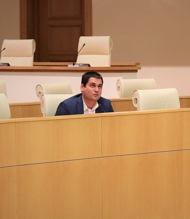 მიხეილ დაუშვილი – ქვეყნის განვითარებას ჭირდება პოლიტიკური სტაბილურობა