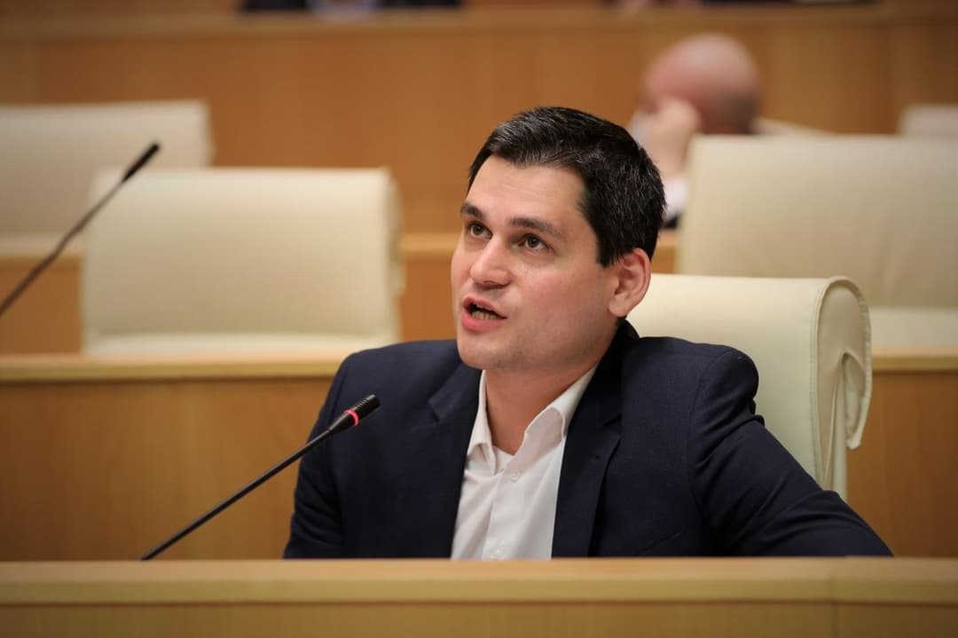 მიხეილ დაუშვილი – “ნაციონალური მოძრაობის“ არჩევნებში გაიმარჯვა ბიძინა ივანიშვილმა