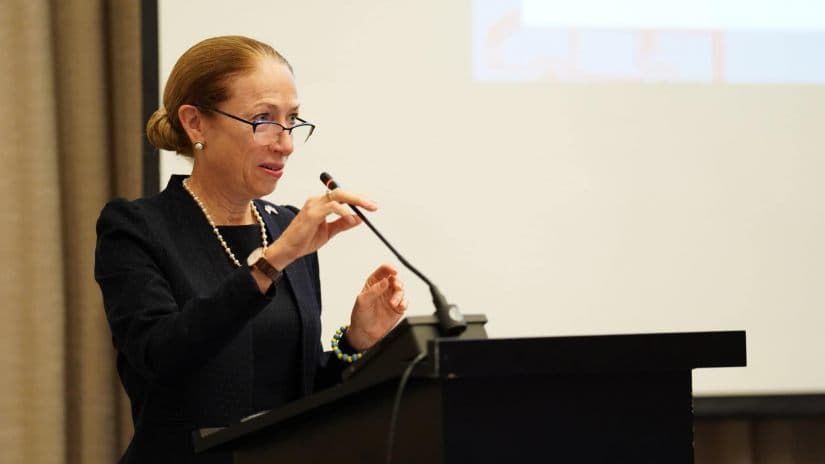 US ambassador on Georgian volunteers in Ukraine: we know clearly which side the people of Georgia are on