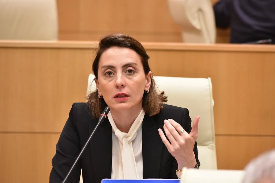 UNM proposes draft resolution in support of Ukraine