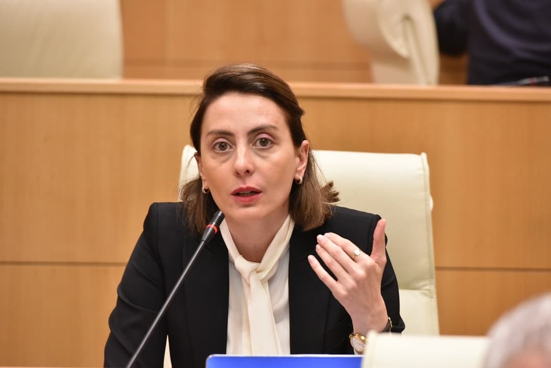 ხატია დეკანოიძე – დარწმუნებული ვარ, პლახოტნიუკის მსგავსად სანქციებში მოხვდება ბიძინა ივანიშვილი