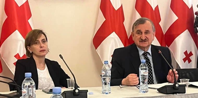 244,966 Georgians emigrated between 2012-2022 – opposition MPs